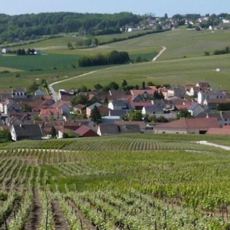 La Longere De Vin'Ay Apartment Vinay  Ngoại thất bức ảnh