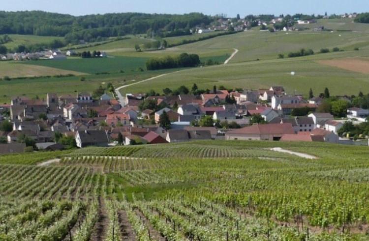 La Longere De Vin'Ay Apartment Vinay  Ngoại thất bức ảnh